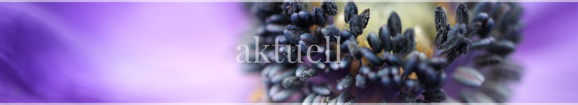 header